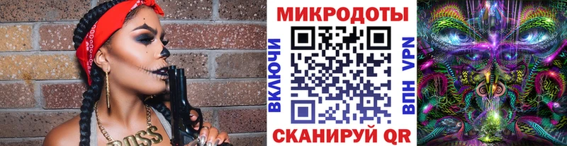 блэк спрут маркетплейс  Курск  Псилоцибиновые грибы Psilocybe  где купить наркотик 